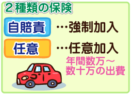 「自賠責保険」と「任意保険」の２種類