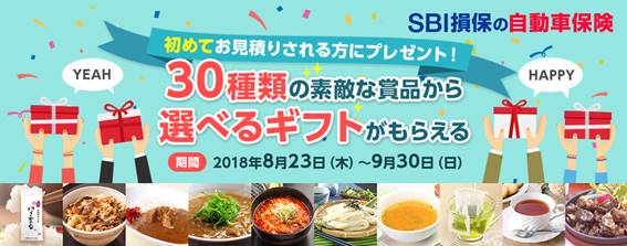 èªåè»ä¿éºãæ°è¦ãè¦ç©ãã­ã£ã³ãã¼ã³æéï¼2018å¹´8æ23æ¥ï¼æ¨ï¼ï½9æ30æ¥ï¼æ¥ï¼